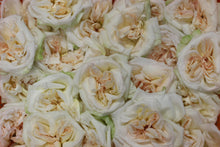 Cargar imagen en el visor de la galería, Kit del Amor #1