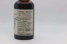 Cargar imagen en el visor de la galería, CHAPARRO AMARGO - TRAVELERS RESCUE - Tintura Amoebicida/Antiinfecciosa DETOX de Hígado