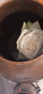 Agua de Rosas Destilada por Dandelion