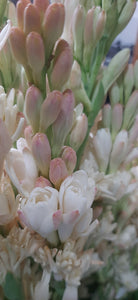 Nardo -Tuberose Hidrosol